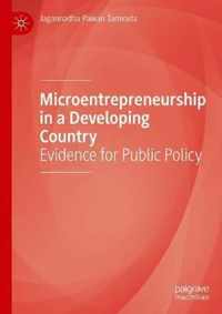 Microentrepreneurship in a Developing Country