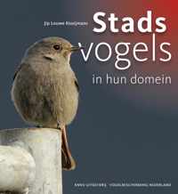 Stadsvogels in hun domein