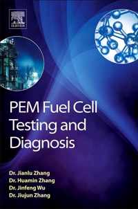 PEM Fuel Cell Testing and Diagnosis