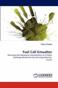 Fuel Cell Emualtor