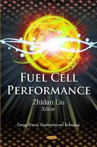 Fuel Cell Peformance