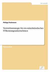 Vertriebsstrategie fur ein mittelstandisches IT-Beratungsunternehmen