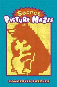 Secret Picture Mazes