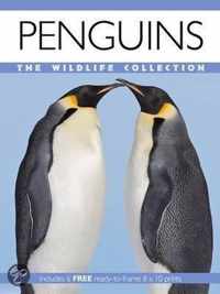 Penguins