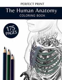 The Human Anatomy Coloring Book