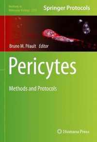 Pericytes