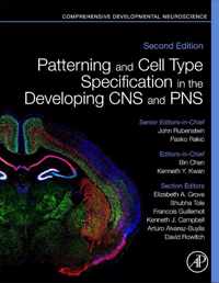 Patterning and Cell Type Specification in the Developing CNS and PNS