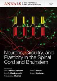 Neurons, Circuitry, And Plasticity In The Spinal Cord And Br