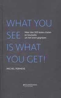 What you see is what you get! - Michel Permeke