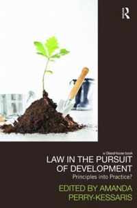 Law in the Pursuit of Development