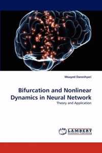 Bifurcation and Nonlinear Dynamics in Neural Network