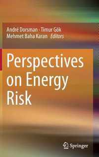 Perspectives on Energy Risk