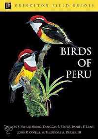 Birds of Peru