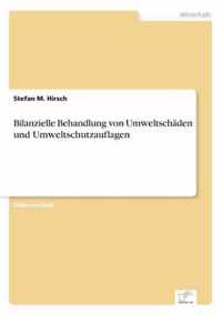 Bilanzielle Behandlung von Umweltschaden und Umweltschutzauflagen