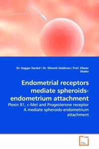 Endometrial receptors mediate spheroids-endometrium attachment