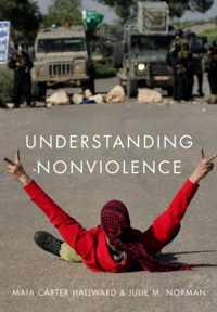 Understanding Nonviolence