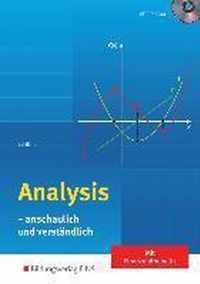 Analysis - anschaulich und verständlich