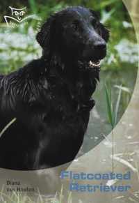 Flatcoated Retriever