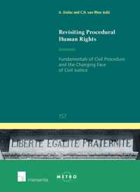 Revisiting Procedural Human Rights