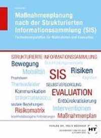 Maßnahmenplanung nach der Strukturierten Informationssammlung (SIS)