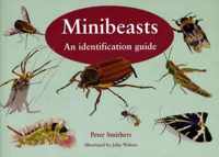 Minibeasts