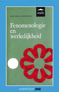 Vantoen.nu  -   Fenomenologie en werkelijkheid