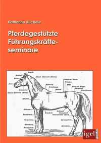 Pferdegestutzte Fuhrungskrafteseminare