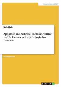 Apoptose und Nekrose. Funktion, Verlauf und Relevanz zweier pathologischer Prozesse