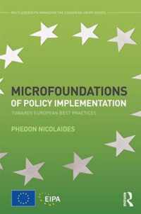 Microfoundations of Policy Implementation