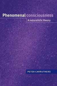 Phenomenal Consciousness