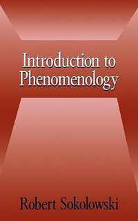 Introduction to Phenomenology