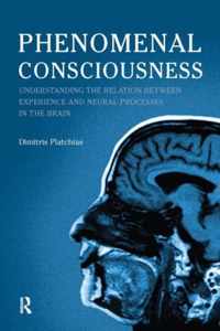 Phenomenal Consciousness