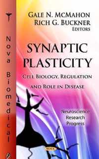 Synaptic Plasticity