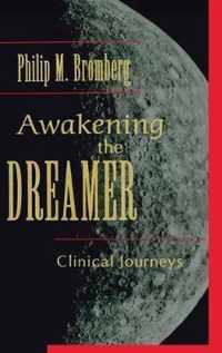 Awakening the Dreamer