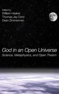 God in an Open Universe