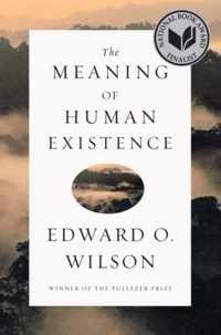 The Meaning of Human Existence