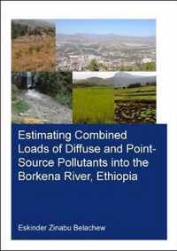 Estimating Combined Loads of Diffuse and Point-Source Pollutants Into the Borkena River, Ethiopia