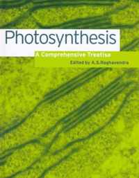 Photosynthesis