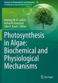 Photosynthesis in Algae