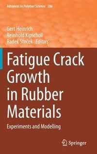 Fatigue Crack Growth in Rubber Materials