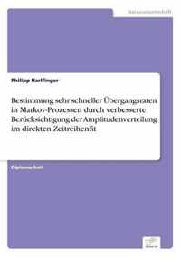 Bestimmung sehr schneller UEbergangsraten in Markov-Prozessen durch verbesserte Berucksichtigung der Amplitudenverteilung im direkten Zeitreihenfit