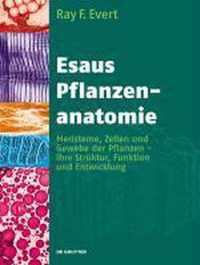 Esaus Pflanzenanatomie