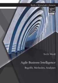 Agile Business Intelligence. Begriffe, Methoden, Analysen