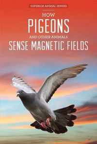 How Pigeons and Other Animals Sense Magnetic Fields