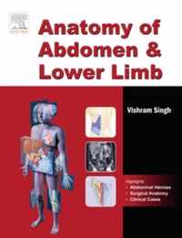 Anatomy of Abdomen and Lower Limb