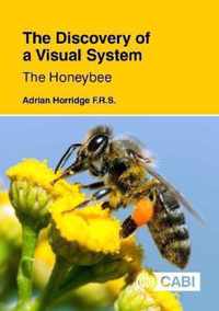 The Discovery of a Visual System - The Honeybee