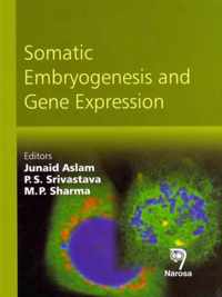 Somatic Embryogenesis and Gene Expression