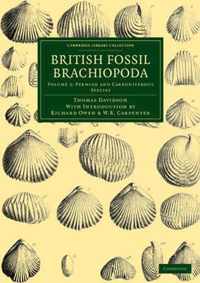 British Fossil Brachiopoda