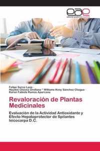 Revaloracion de Plantas Medicinales