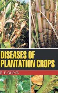 Diseases of Plantation Crops